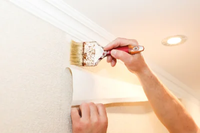 Pose de papier peint à Monsteroux-Milieu — revêtements muraux et toiles de verre